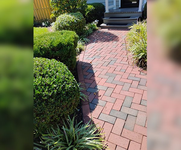 Image Primos landscapíng & Lawn Care Service LLC