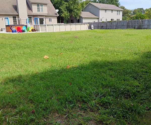 Image Primos landscapíng & Lawn Care Service LLC