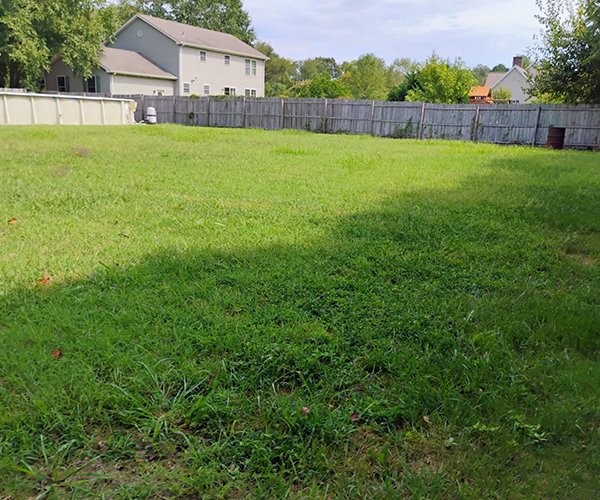 Image Primos landscapíng & Lawn Care Service LLC