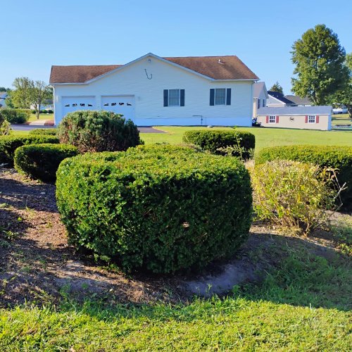 Image Primos landscapíng & Lawn Care Service LLC