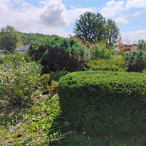 Image Primos landscapíng & Lawn Care Service LLC