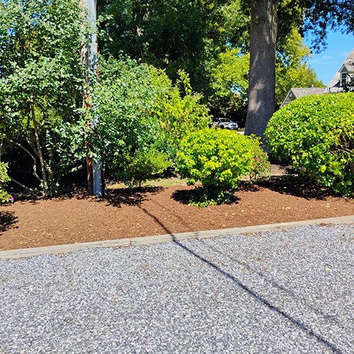 Image Primos landscapíng & Lawn Care Service LLC