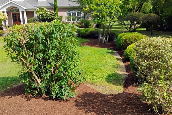 Image Primos landscapíng & Lawn Care Service LLC