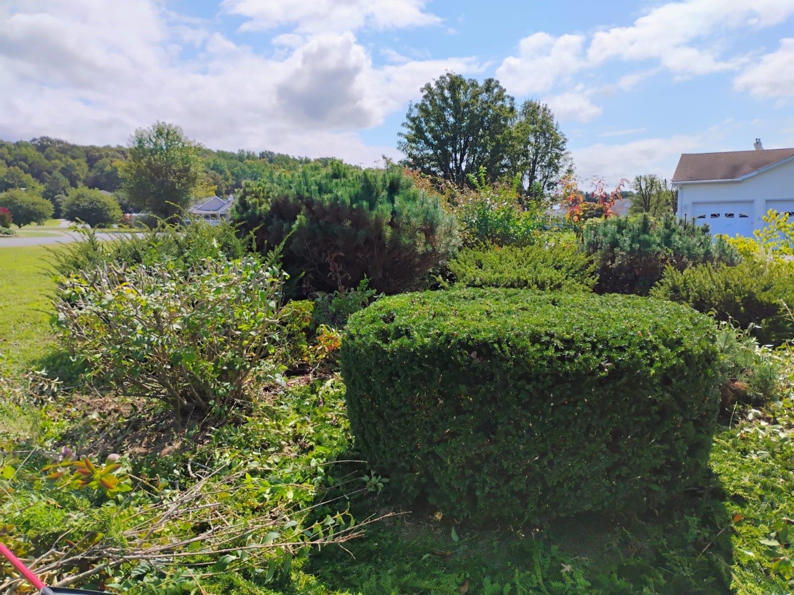 Primos landscapíng & Lawn Care Service LLC