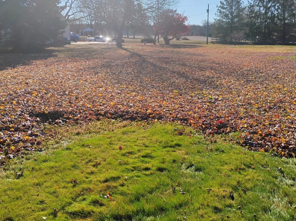 Primos landscapíng & Lawn Care Service LLC