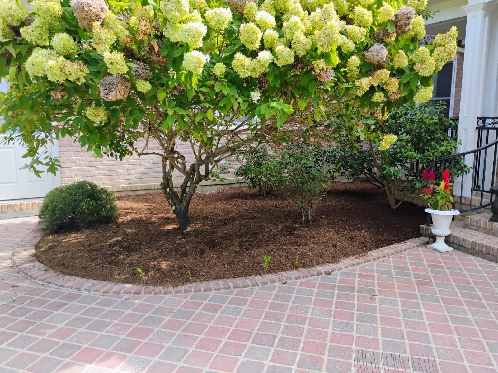 Primos landscapíng & Lawn Care Service LLC