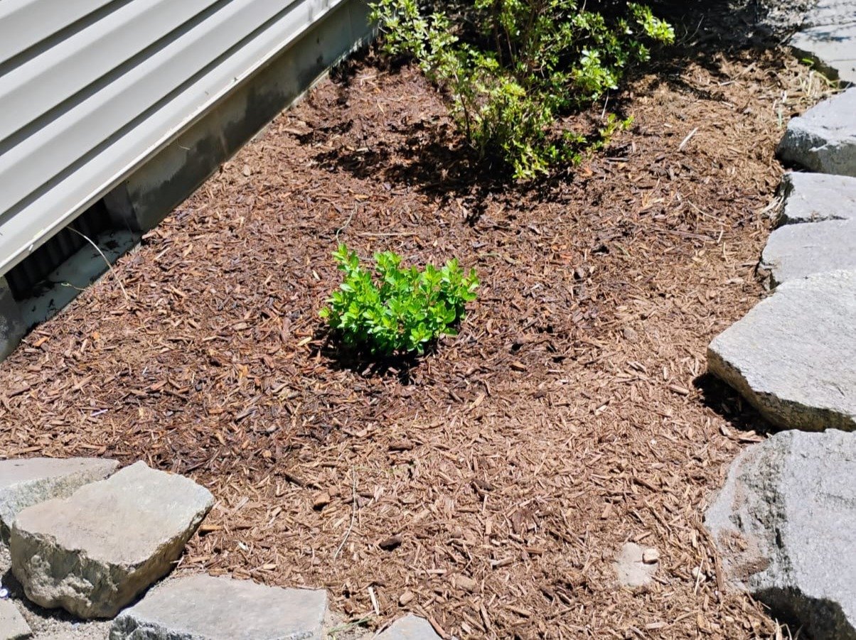 Primos landscapíng & Lawn Care Service LLC