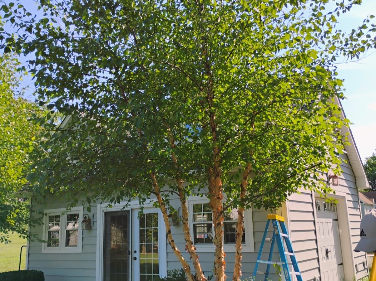 Primos landscapíng & Lawn Care Service LLC