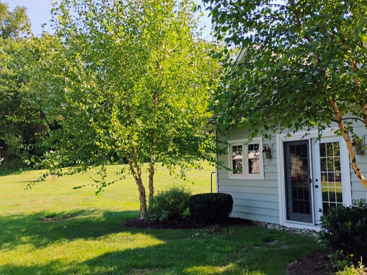 Primos landscapíng & Lawn Care Service LLC