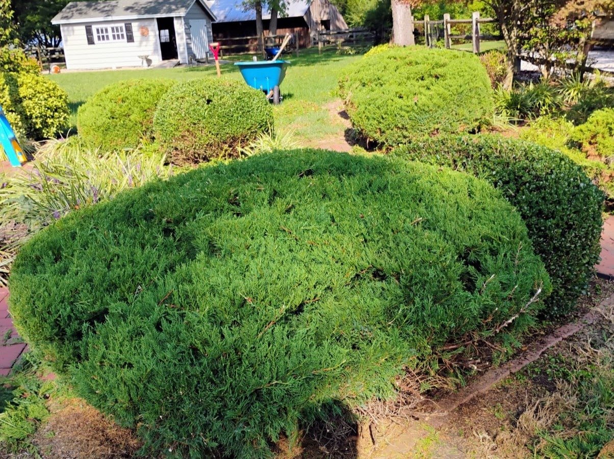 Primos landscapíng & Lawn Care Service LLC